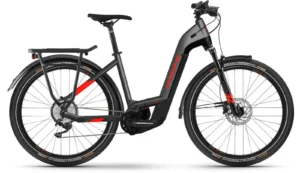Haibike Trekking 9 i625Wh anthracite/rouge